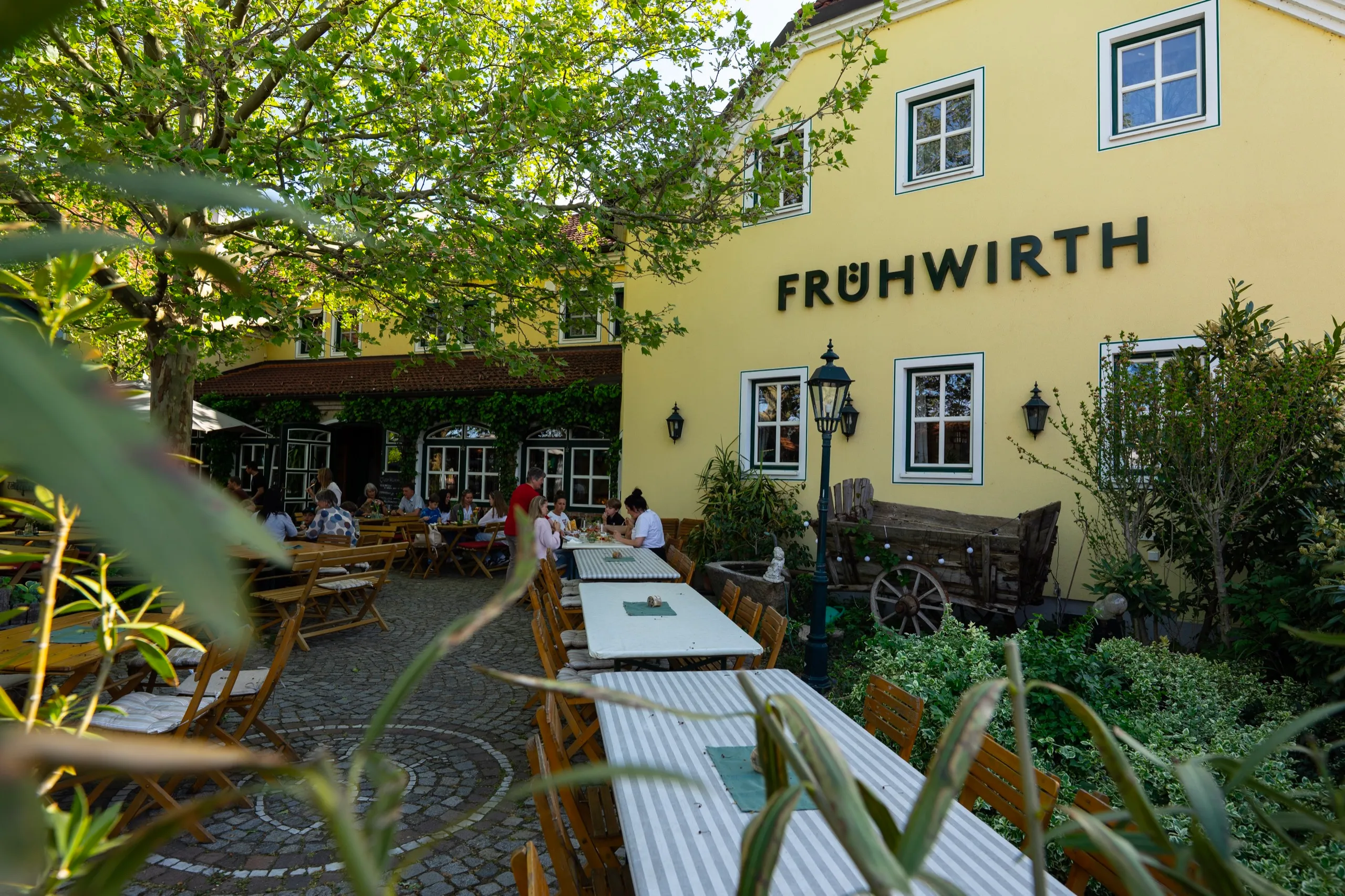Der Gastgarten vor dem gelben Haus mit dem Schriftzug Frühwirth, gedeckte Tische unter der Platane, im Hintergrund Gäste